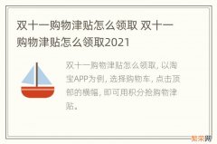 双十一购物津贴怎么领取 双十一购物津贴怎么领取2021