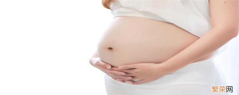 怀孕1一10个月发育图怀孕1一10个月胎儿怎么成长