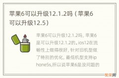 苹果6可以升级12.5 苹果6可以升级12.1.2吗