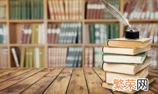 可爱的中国是谁的遗作 书籍可爱的中国的作者