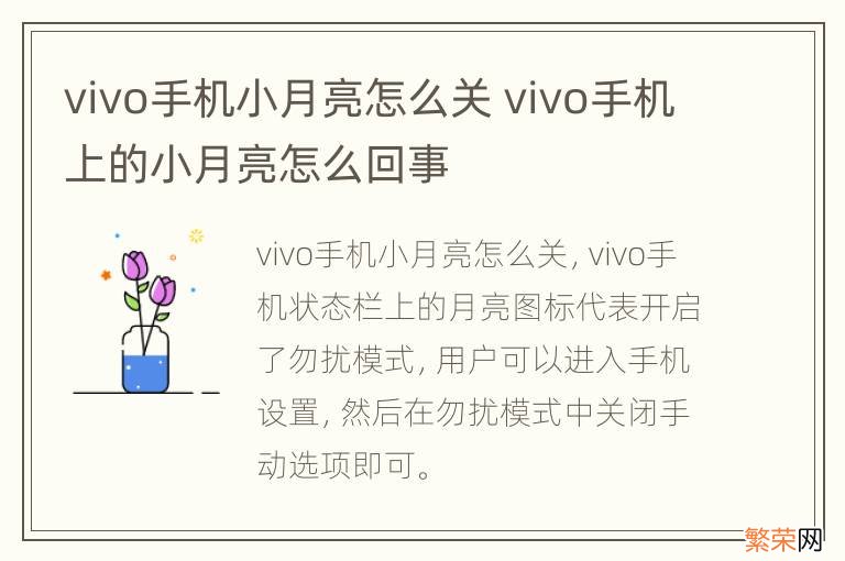 vivo手机小月亮怎么关 vivo手机上的小月亮怎么回事