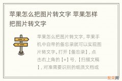 苹果怎么把图片转文字 苹果怎样把图片转文字