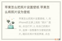 苹果怎么把照片设置壁纸 苹果怎么将照片设为壁纸