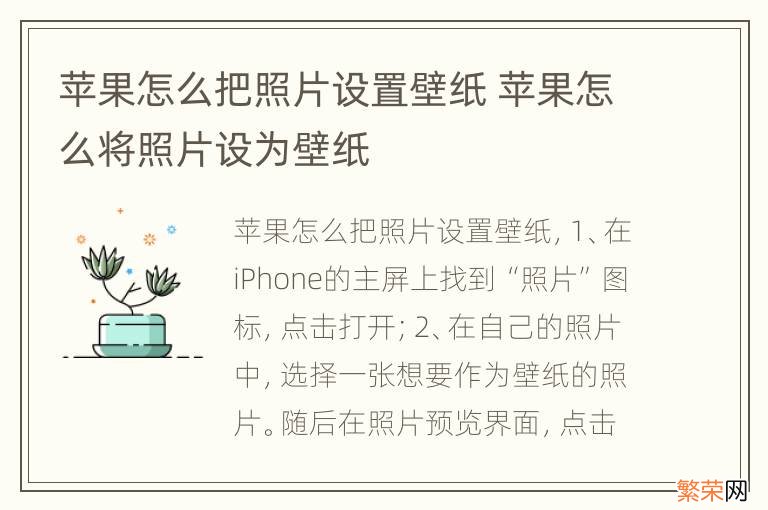 苹果怎么把照片设置壁纸 苹果怎么将照片设为壁纸