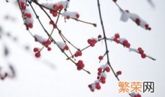 瑞雪是什么时候的雪 瑞雪是冬季的降雪