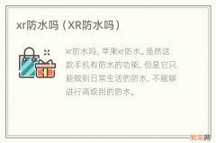 XR防水吗 xr防水吗