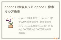 oppoa11像素多少万 oppoa11像素多少万像素