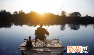 夏天野河钓鳊鱼方法 钓鳊鱼的技巧