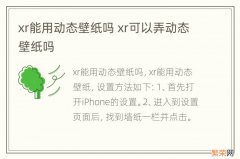 xr能用动态壁纸吗 xr可以弄动态壁纸吗