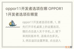 oppor11开发者选项在哪 OPPOR11开发者选项在哪里