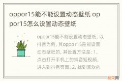 oppor15能不能设置动态壁纸 oppor15怎么设置动态壁纸