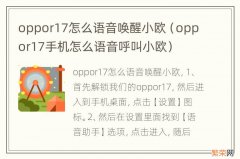 oppor17手机怎么语音呼叫小欧 oppor17怎么语音唤醒小欧