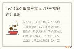 ios13怎么取消三指 ios13三指撤销怎么用