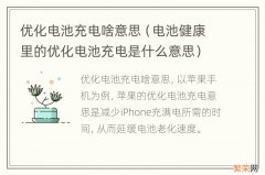 电池健康里的优化电池充电是什么意思 优化电池充电啥意思