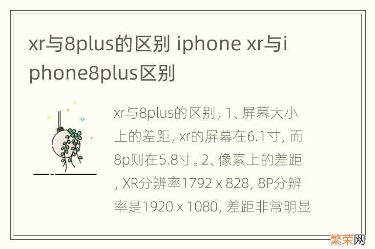 xr与8plus的区别 iphone xr与iphone8plus区别