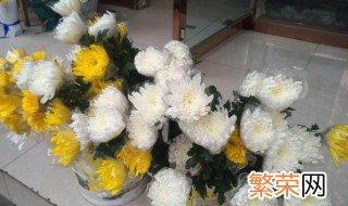 祭拜用什么花 祭拜用什么花好