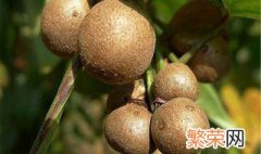 山药豆怎么去皮 山药豆去皮方法