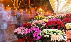 珠海市花是什么 什么是珠海市花