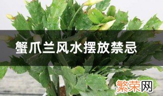 蟹爪兰风水摆放禁忌 放什么位置好呢