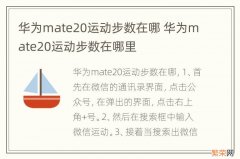 华为mate20运动步数在哪 华为mate20运动步数在哪里