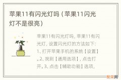 苹果11闪光灯不是很亮 苹果11有闪光灯吗