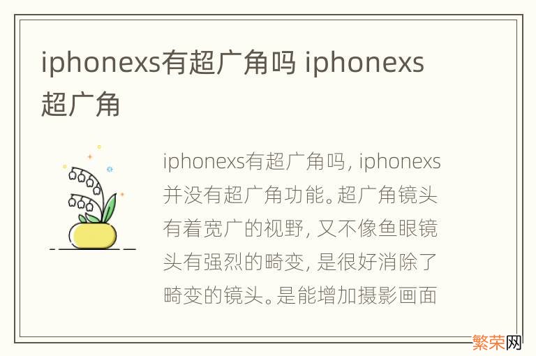 iphonexs有超广角吗 iphonexs 超广角