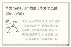 华为怎么截屏mate30 华为mate30咋截屏