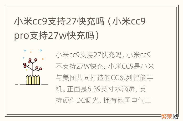 小米cc9pro支持27w快充吗 小米cc9支持27快充吗