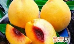 黄桃挂果期如何管理 黄桃管理保果方法