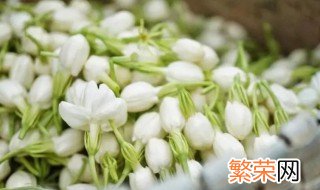 茉莉花可以泡脚吗 茉莉花可以泡脚吗?