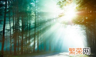 地球上最大的生态系统是 生物圈主要是由什么组成的