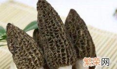 新鲜羊肚菌能冷冻吗 新鲜羊肚菌可以冷冻吗