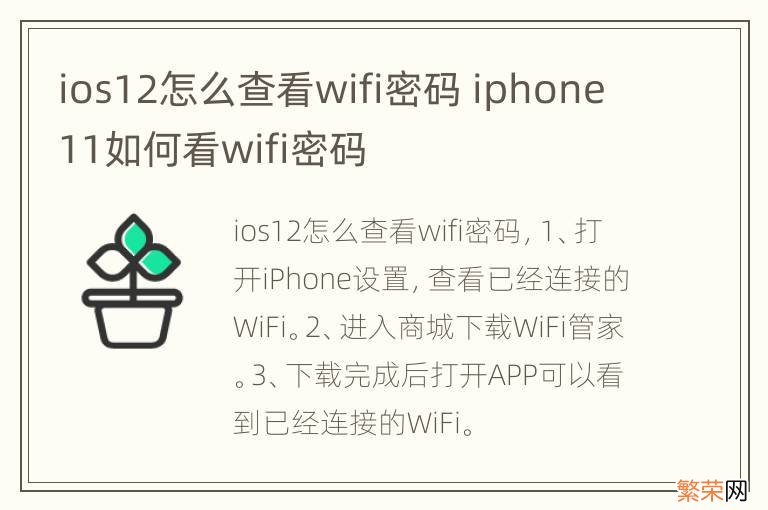 ios12怎么查看wifi密码 iphone11如何看wifi密码