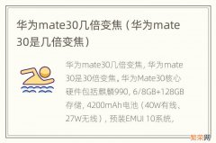 华为mate30是几倍变焦 华为mate30几倍变焦