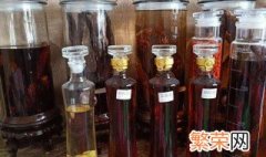 肉苁蓉怎么泡酒 泡酒步骤如下