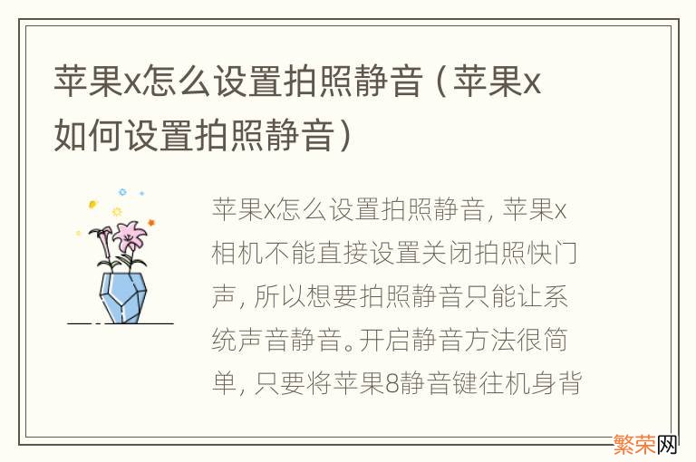 苹果x如何设置拍照静音 苹果x怎么设置拍照静音