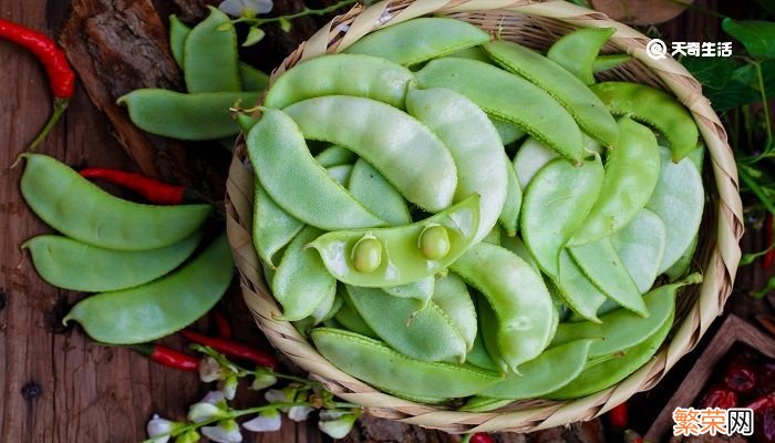 荷兰豆和扁豆的区别 荷兰豆和扁豆有什么不同