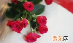 29朵红玫瑰花的花语是什么意思 28朵红玫瑰花的花语是什么