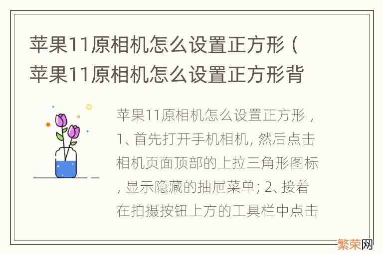 苹果11原相机怎么设置正方形背景 苹果11原相机怎么设置正方形