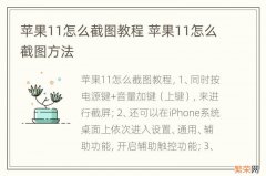 苹果11怎么截图教程 苹果11怎么截图方法