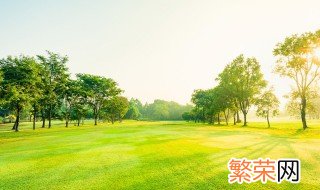 郝堂村简介 郝堂村简介介绍