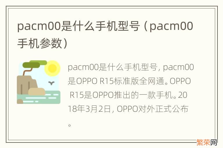 pacm00手机参数 pacm00是什么手机型号