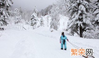 描写下雪冷的句子 关于冷雪的句子