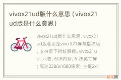 vivox21ud版是什么意思 vivox21ud版什么意思