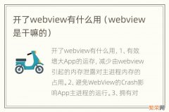 webview是干嘛的 开了webview有什么用