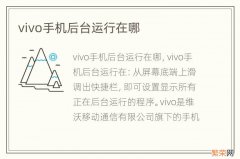 vivo手机后台运行在哪