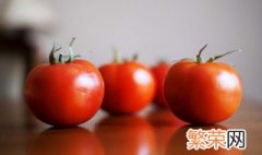 茄子如何快速膨果 番茄膨果技巧