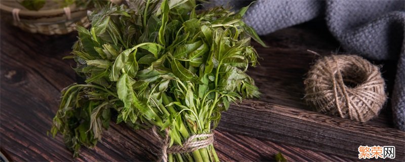 香椿有毒吗 香椿有没有毒