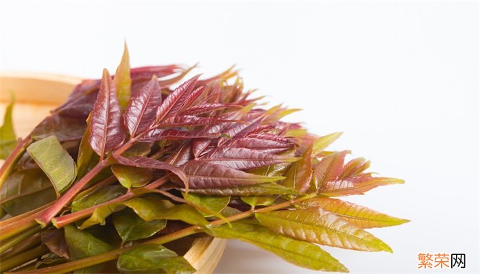 香椿有毒吗 香椿有没有毒