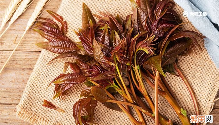 香椿有毒吗 香椿有没有毒